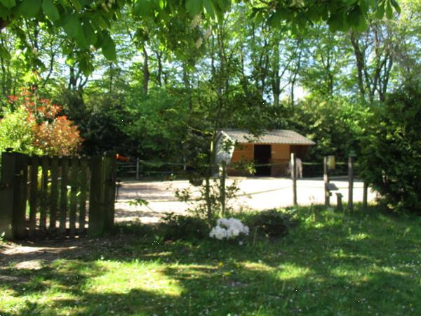 Grote foto grote chalet voor langere tijd te huur.rust ruimte natuur huizen en kamers recreatiewoningen