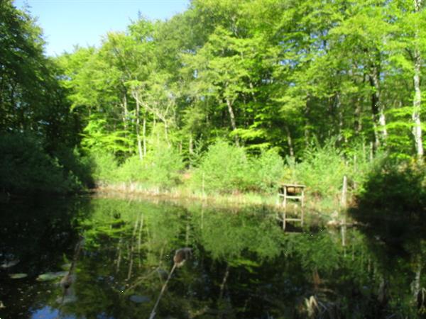 Grote foto grote chalet voor langere tijd te huur.rust ruimte natuur huizen en kamers recreatiewoningen