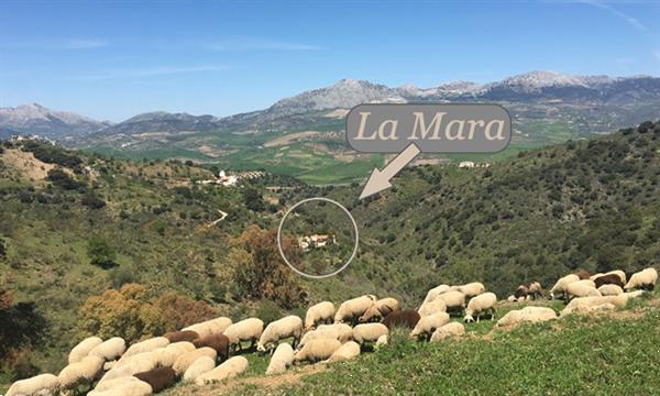 Grote foto vakantiehuis voor rustzoekers in andalusi vakantie spanje