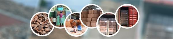Grote foto coir mats and other coir products for export tuin en terras gras en kunstgras