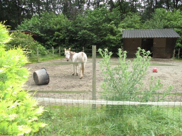 Grote foto grote gemeubileerde recreatiewoning tijdelijk te huur.gr fr huizen en kamers recreatiewoningen