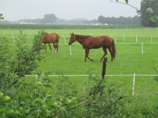 Grote foto verhuur spoed woonruimte gezocht grens friesland groningen caravans en kamperen overige caravans en kamperen