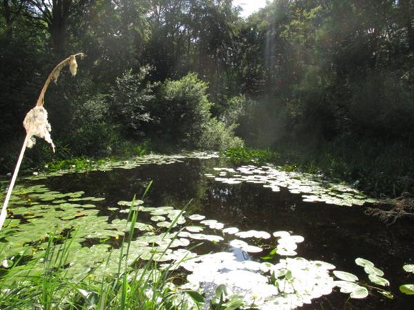 Grote foto verhuur spoed woonruimte gezocht grens friesland groningen caravans en kamperen overige caravans en kamperen