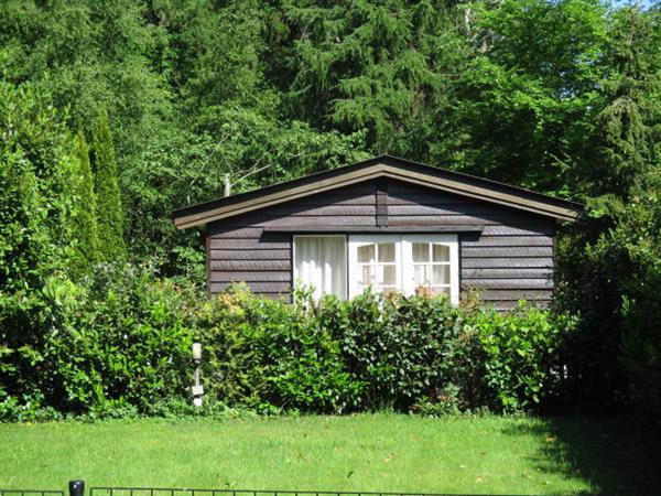 Grote foto recreatiepark trimunt verhuur chalet vakantiewoning huisje vakantie campings