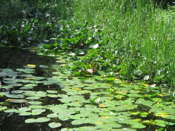 Grote foto vakantiepark trimunt verhuur vakantie overige vakantie