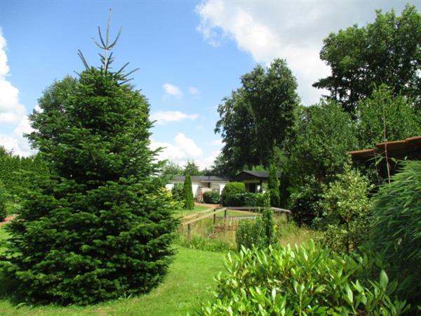 Grote foto recreatiepark trimunt verhuur van tijdelijke vakantiewoning huizen en kamers recreatiewoningen