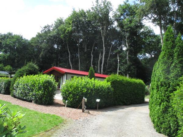 Grote foto vakantiewoning tijdelijk te huur ideaal bij verbouwing huizen en kamers recreatiewoningen