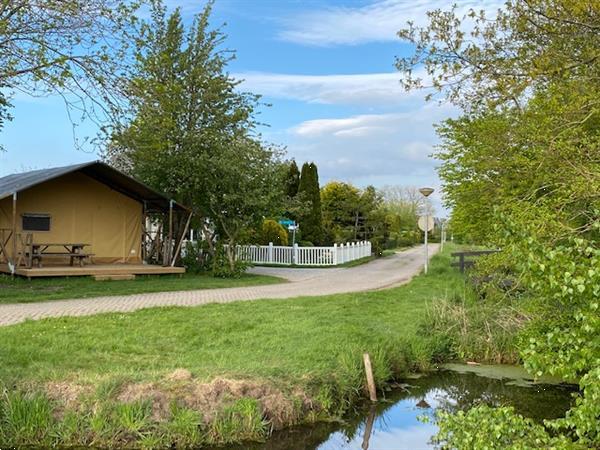 Grote foto safaritent te koop op de yn e lijte friesland r 52r caravans en kamperen stacaravans