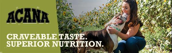 Grote foto brit care hypo allergeen hondenvoer met hoog vleespercentage dieren en toebehoren toebehoren