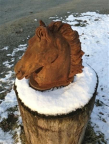 Grote foto paarden hoofd sculptuur verzamelen beelden en beeldjes