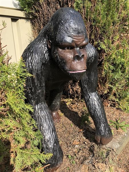 Grote foto grote gorilla polystone geweldig fraai en imponerend laa tuin en terras tuindecoratie