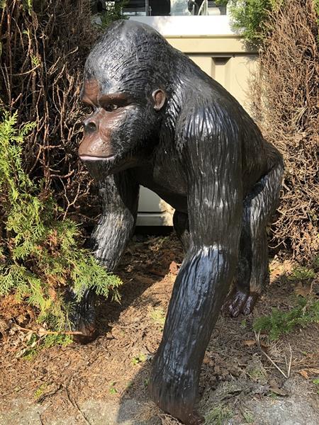 Grote foto grote gorilla polystone geweldig fraai en imponerend laa tuin en terras tuindecoratie