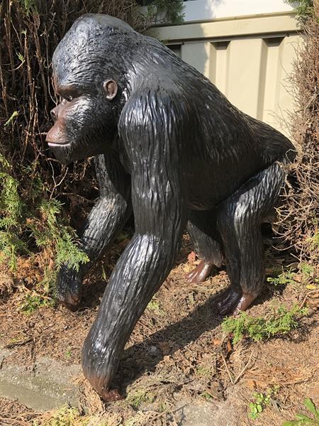 Grote foto grote gorilla polystone geweldig fraai en imponerend laa tuin en terras tuindecoratie