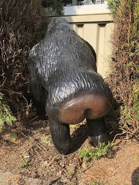 Grote foto grote gorilla polystone geweldig fraai en imponerend laa tuin en terras tuindecoratie