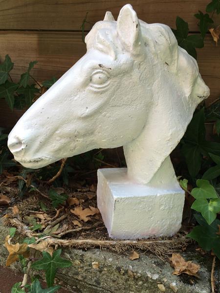 Grote foto 1 paard gietijzer hoofd in roest optica white verzamelen beelden en beeldjes