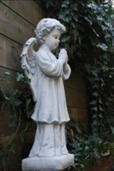 Grote foto beeld uit steen biddende engel staand. mooi zwaar beeld verzamelen beelden en beeldjes