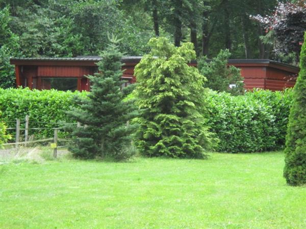 Grote foto vakantiewoning tijdelijk te huur op gr groningen huizen en kamers recreatiewoningen