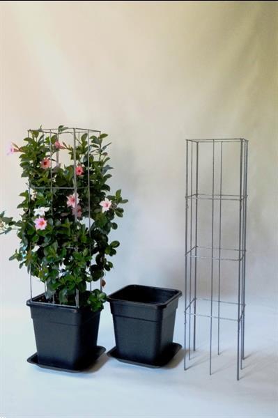 Grote foto webwinkel zelf kweken fruit groente klimplanten tuin en terras kassen en kweekspullen