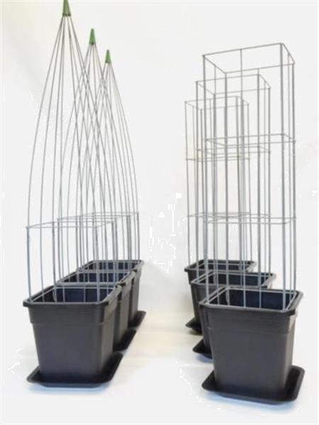 Grote foto webwinkel zelf kweken fruit groente klimplanten tuin en terras kassen en kweekspullen