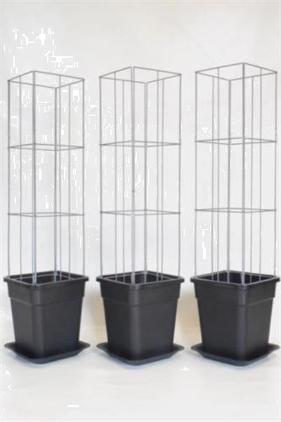 Grote foto webwinkel zelf kweken fruit groente klimplanten tuin en terras kassen en kweekspullen