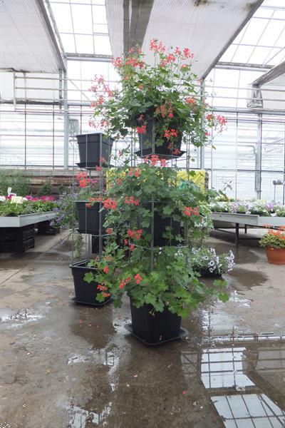 Grote foto webwinkel zelf kweken fruit groente klimplanten tuin en terras kassen en kweekspullen