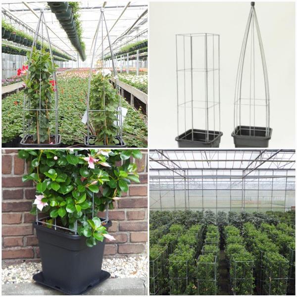 Grote foto klimplant draadrekken in plantenbakken tuin en terras bloembakken