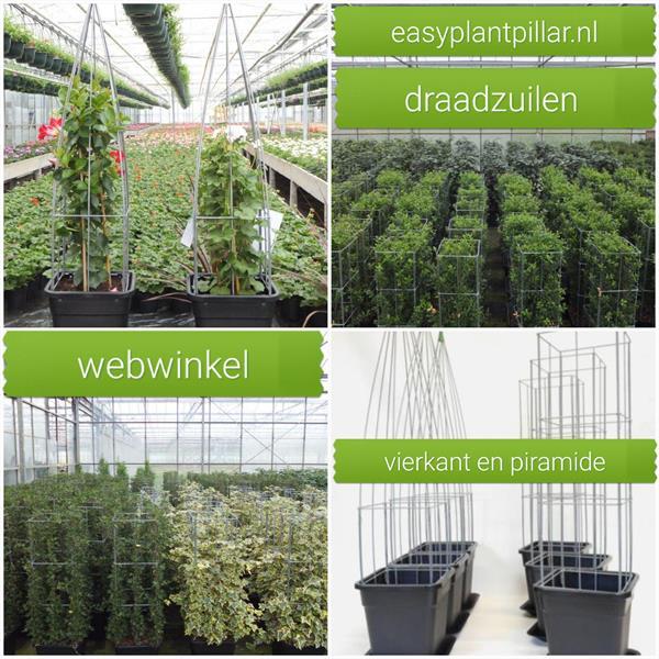 Grote foto klimplant draadrekken in plantenbakken tuin en terras bloembakken