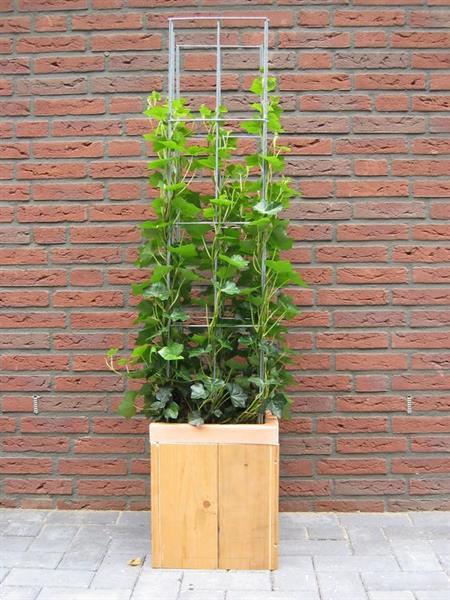 Metalen Plantensteunen Voor De Tuin - Rozensteun - 10 Stuks 25x60 Cm