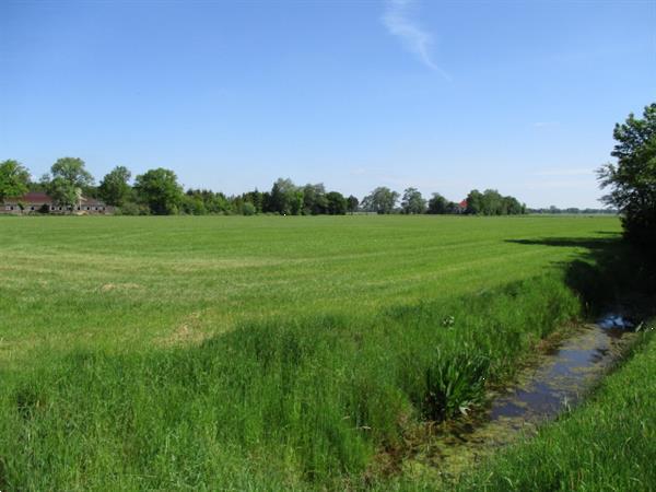 Grote foto gemeubileerde recreatiewoning tijdelijk te huur.rust bos a7 huizen en kamers overige te huur