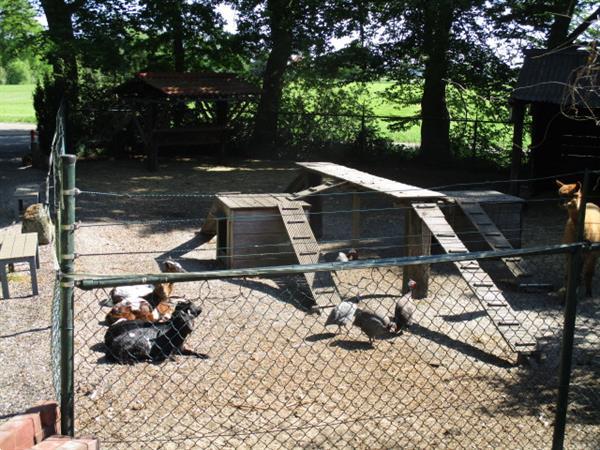 Grote foto gemeubileerde recreatiewoning tijdelijk te huur.rust bos a7 huizen en kamers overige te huur