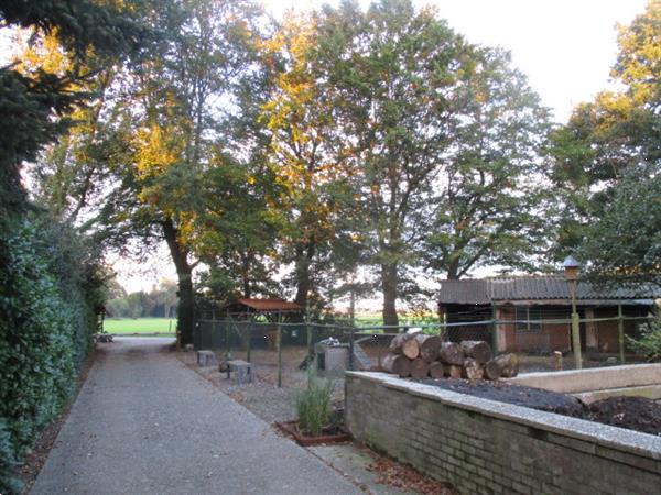 Grote foto gemeubileerde recreatiewoning tijdelijk te huur.rust bos a7 huizen en kamers overige te huur