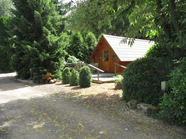 Grote foto tijdelijke woning chalet beschikbaar op rustig park huizen en kamers kamers