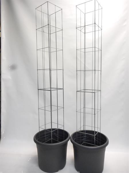 Grote foto steun in plantenbakken bloembakken balkonbakken tuin en terras bloembakken