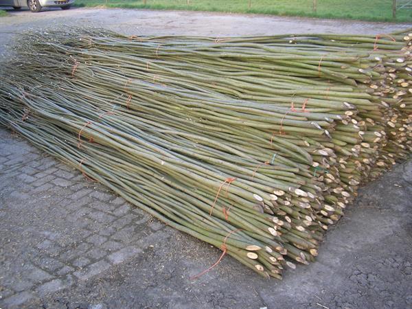 Grote foto wilgentenenen wilgenteen wilgenschutting tuin en terras tuindecoratie