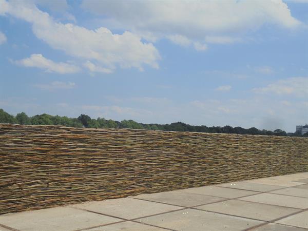 Grote foto wilgentenenen wilgenteen wilgenschutting tuin en terras tuindecoratie