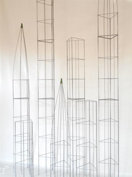 Grote foto klimplanten omhoog leiden tuin terras balkon tuin en terras bomen en struiken