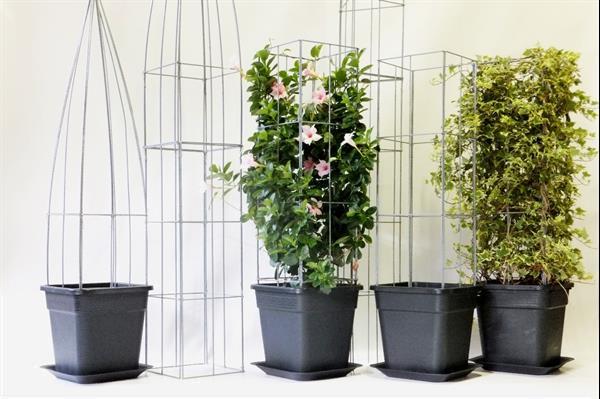 Grote foto verticale tuinhaag klimplant tuin terras balkon. tuin en terras bomen en struiken