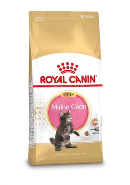 Grote foto royal canin kitten maine coon 4 kg dieren en toebehoren katten accessoires