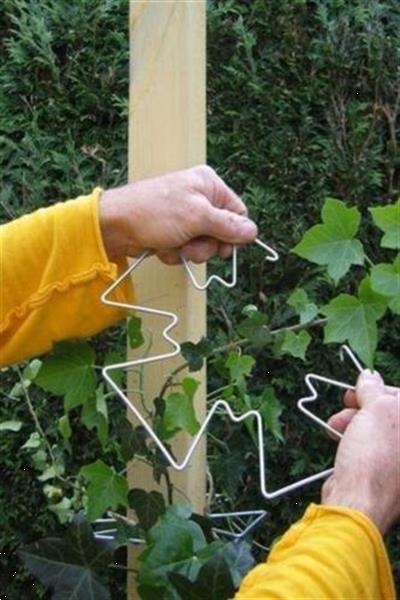 Grote foto rozen clematis jasmijn hedera plantensteunen tuin en terras tuinhout en palen