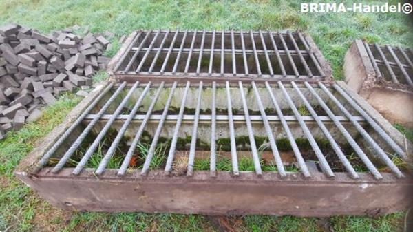 Grote foto veeroosters roosters wegroosters betonroosters wildroosters dieren en toebehoren overige