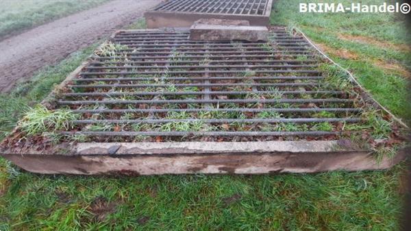 Grote foto veeroosters roosters wegroosters betonroosters wildroosters dieren en toebehoren overige