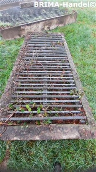 Grote foto veeroosters roosters wegroosters betonroosters wildroosters dieren en toebehoren overige