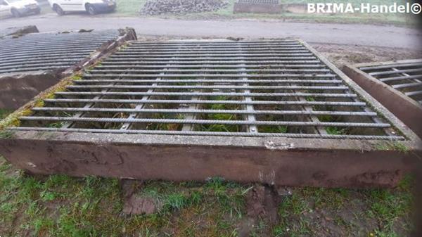 Grote foto veeroosters roosters wegroosters betonroosters wildroosters dieren en toebehoren overige