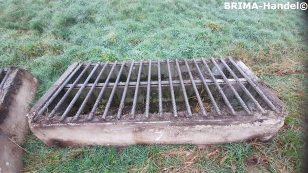 Grote foto veeroosters roosters wegroosters betonroosters wildroosters dieren en toebehoren overige