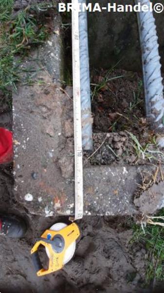 Grote foto veeroosters roosters wegroosters betonroosters wildroosters dieren en toebehoren overige