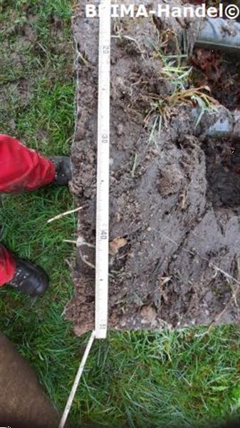 Grote foto veeroosters roosters wegroosters betonroosters wildroosters dieren en toebehoren overige