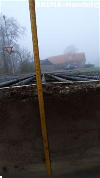 Grote foto veeroosters roosters wegroosters betonroosters wildroosters dieren en toebehoren overige