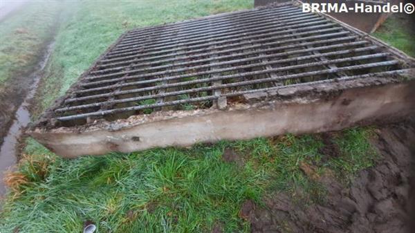 Grote foto veeroosters roosters wegroosters betonroosters wildroosters dieren en toebehoren overige