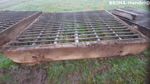 Grote foto veeroosters roosters wegroosters betonroosters wildroosters dieren en toebehoren overige