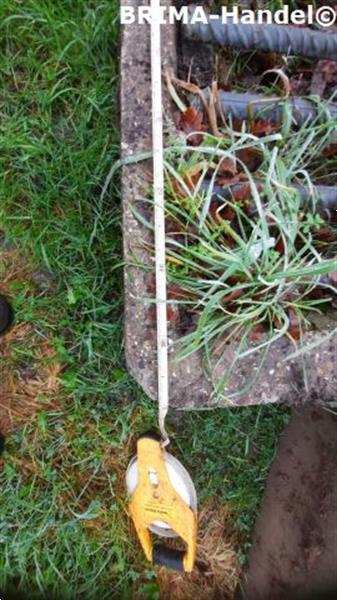 Grote foto veeroosters roosters wegroosters betonroosters wildroosters dieren en toebehoren overige